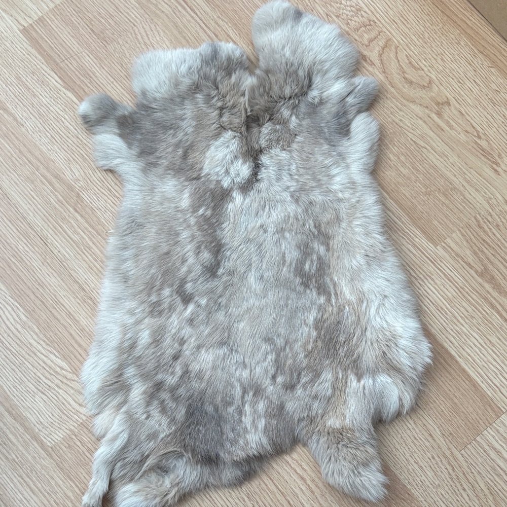 #A50 rabbit pelt